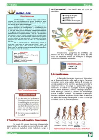 ATHENAS                                                                                                              Biologia

                                                                         NEODARWINISMO. Essa teoria leva em conta os
                                                                         princípios:
              IINDO MAIIS LONGE::
                NDO MA S LONGE
                                                                                          adaptação ao meio
                      O Archaeopteryx
                                                                                          seleção natural
                                                                                          luta pela vida
            O Archaeopteryx é a ave mais antiga que se conhece,
 conviveu com os dinossauros do período Jurássico e talvez
                                                                                          ocorrência de mutações
 ainda seria considerado como um dinossauro se não fosse o
 fato de suas penas terem se fossilizado.
            Um dos primeiros esqueletos de Archaeopteryx encon-
 trados foi atribuído a um compsognathus. O Archaeopteryx tinha
 dentes e possuía ossos na cauda como um pequeno dinossau-
 ro, nas asas ainda possuía três dedos, que serviriam para agar-
 rar os galhos das árvores e auxiliar na subida das mesmas. A
 questão questão que gera dúvidas é o fato de o Archaeopteryx
 não possuir o esterno (robusto osso provido de uma quilha que
 as aves tem no peito, onde se inserem poderosos músculos que
 permitem o bater de asas para o vôo ), no entanto o Archaeop-
 teryx possuía o chamado " osso da sorte " ou " forquilha " típico
 das aves.
            Não se sabe ao certo se o Archaeopteryx poderia le-
 vantar vôo e voar como as aves, mas sem dúvida " voava " de
 galhos em galhos, dava saltos enormes impulsionados pelas
 asas ( como as galinhas o fazem atualmente ) e planava caçan-
 do insetos nas matas do Jurássico.

                     Dados da Ave
           Nome: Archaeopteryx
                                                                                 O isolamento geográfico dos tentilhões de
           Nome Científico: Archaeopteryx lithographica                  Darwin das Ilhas Galápagos produziu mais de uma
           Época: Jurássico                                              dúzia de espécies através de mutações e seleção
           Local onde viveu: Europa
           Peso: Cerca de 1 quilo                                        natural nos diferentes ambientes.
           Tamanho: 1 metro de comprimento
           Alimentação: Carnívora




                                                                         5.. A EVOLUÇÃO HUMANA
                                                                         5 A EVOLUÇÃO HUMANA
                                                                               EVOLUÇÃO HUM ANA

                                                                                  A Evolução Humana é o processo de mudan-
                                                                         ça e desenvolvimento, pelo qual os seres humanos
                                                                         emergiram como uma espécie distinta. É tema de um
                                                                         amplo questionamento científico que busca entender e
                                                                         descrever como a mudança e o desenvolvimento a-
                                                                         contecem. O estudo da evolução humana engloba
                  Fóssil de Archaeopteryx                                muitas áreas da ciência, como a Psicologia Evolucio-
                                                                         nista, a Biologia Evolutiva, a Genética e a Antropologia
                                                                         Física. O termo "humano", no contexto da evolução
                                                                         humana, refere-se ao gênero Homo. Mas, os estudos
                                                                         da evolução humana usualmente incluem outros ho-
                                                                         minídeos, como os Australopithecus.




4.. TEORIIIA SIIINTÉTIIICA DA EVOLUÇÃO OU NEODARWIIINIIISMO
4 TEOR A S NTÉT CA DA EVOLUÇÃO OU NEODARW N SMO
     EOR A NTÉT CA DA VOLUÇÃO OU EODARW N SMO

       No século XX a teoria darwinista foi associada
aos conceitos de genética como uma forma de expli-
car o processo evolutivo pelas mutações, surge o                            Representação de humanos atuais e primitivos

Profº Pablo                                                          6
 