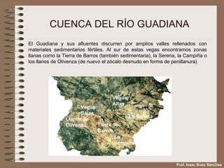 CUENCA DEL RÍO GUADIANA El Guadiana y sus afluentes discurren por amplios valles rellenados con materiales sedimentarios fértiles. Al sur de estas vegas encontramos zonas llanas como la Tierra de Barros (también sedimentaria), la Serena, la Campiña o los llanos de Olivenza (de nuevo el zócalo desnudo en forma de penillanura) Prof. Isaac Buzo Sánchez Vegas  Bajas Vegas  Altas Tierra de Barros La Serena La  campiña Llanos de Olivenza 
