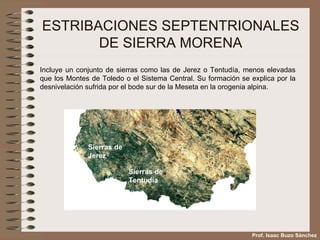 ESTRIBACIONES SEPTENTRIONALES DE SIERRA MORENA Incluye un conjunto de sierras como las de Jerez o Tentudía, menos elevadas que los Montes de Toledo o el Sistema Central. Su formación se explica por la desnivelación sufrida por el bode sur de la Meseta en la orogenia alpina. Sierras de  Jerez Sierras de  Tentudía Prof. Isaac Buzo Sánchez 