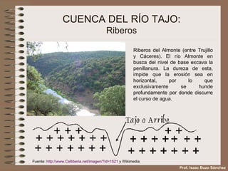 CUENCA DEL RÍO TAJO: Riberos Fuente:  http:// www .Celtiberia. net /imagen/?id=1521  y Wikimedia Riberos del Almonte (entre Trujillo y Cáceres). El río Almonte en busca del nivel de base excava la penillanura. La dureza de esta, impide que la erosión sea en horizontal, por lo que exclusivamente se hunde profundamente por donde discurre el curso de agua. Prof. Isaac Buzo Sánchez 