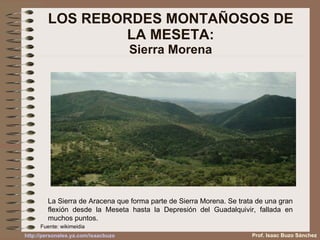 LOS REBORDES MONTAÑOSOS DE LA MESETA: Sierra Morena La Sierra de Aracena que forma parte de Sierra Morena. Se trata de una gran flexión desde la Meseta hasta la Depresión del Guadalquivir, fallada en muchos puntos. Fuente: wikimeidia Prof. Isaac Buzo Sánchez 