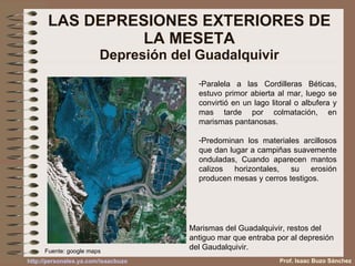 LAS DEPRESIONES EXTERIORES DE LA MESETA Depresión del Guadalquivir Paralela a las Cordilleras Béticas, estuvo primor abierta al mar, luego se convirtió en un lago litoral o albufera y mas tarde por colmatación, en marismas pantanosas. Predominan los materiales arcillosos que dan lugar a campiñas suavemente onduladas, Cuando aparecen mantos calizos horizontales, su erosión producen mesas y cerros testigos. Marismas del Guadalquivir, restos del antiguo mar que entraba por al depresión del Gaudalquivir. Fuente: google maps Prof. Isaac Buzo Sánchez 
