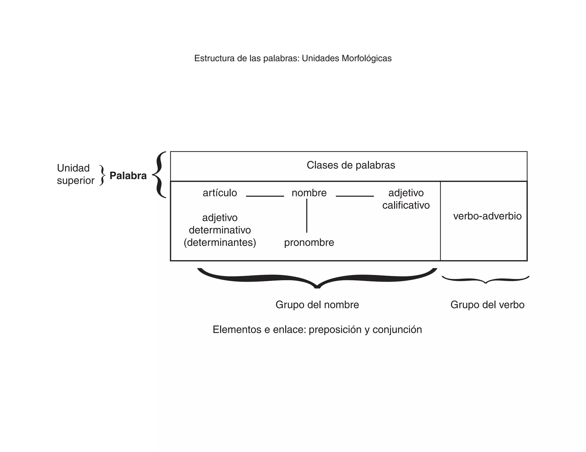 Unidades morfológicas | PDF