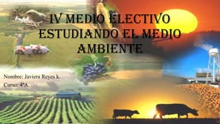 Iv medio electivo
Estudiando el medio
ambiente
Nombre: Javiera Reyes k.
Curso: 4ºA.
 