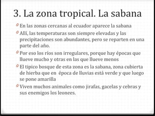 3. La zona tropical. La sabana
0 En las zonas cercanas al ecuador aparece la sabana
0 Allí, las temperaturas son siempre elevadas y las
precipitaciones son abundantes, pero se reparten en una
parte del año.
0 Por eso los ríos son irregulares, porque hay épocas que
llueve mucho y otras en las que llueve menos
0 El tipico bosque de esta zona es la sabana, zona cubierta
de hierba que en época de lluvias está verde y que luego
se pone amarilla
0 Viven muchos animales como jirafas, gacelas y cebras y
sus enemigos los leonees.
 