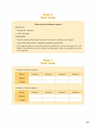 MATERIALES
• Cáscaras de 5 plátanos.
Un litro de agua.
PREPARACIÓN
Anexo 3
Se.xto Grodo
Elaboración de fertilizante orgánico
Picar las cáscaras de plátano. Ponerlas a hervir por 15 minutos, con el agua.
Luego colar, dejar enfriar y finalmente guardar en una botella.
Para regar las plantas se mezcla un litro de fertilizante y un litro de agua. Así, se le
brinda a las plantas uno de los elementos importantes para su crecimiento, en este
caso el potasio.
Hortalizas con abono orgánico:
Plantas Semana 1
Rabanito
Lechuga
Hortalizas sin abono orgánico:
Plantas Semana 1
Rabanito
Lechuga
Anexo 4
Sexlo Grado
Semana 2
Semana 2
Semana 3 Semana 4
Semana 3 Semana 4
102
 