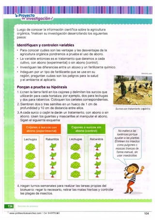 1
1
Luego de conocer la información científica sobre la agricultura
orgánica, finalicen su investigación desarrollando los siguientes
pasos:
Identifiquen y controlen variables
•
Para conocer cuáles son las ventajas y las desventajas de la
agricultura orgánica pondremos a prueba el uso de abono.
•
La variable entonces es el tratamiento que daremos a cada
cultivo, con abono (experimental) o sin abono (control).
•
Investiguen las diferencias entre un abono y un fertilizante químico.
•
Indaguen por un tipo de fertilizante que se use en su
región, pregunten cuáles son los peligros para la salud
y el ambiente al aplicarlo.
Pongan a prueba su hipótesis
1 . Echen la tierra fértil en los cajones y delimiten los surcos que
utilizarán para cada hortaliza; por ejemplo, dos para lechugas
y dos para rabanitos. Coloquen los carteles correspondientes.
ERNESTOJIMEt.
2. Siembren dos o tres semillas en un hueco de 1 cm de
profundidad y 1 O cm de distancia entre ellos. Surcos con tratamiento orgánico.
3.A cada surco o cajón le darán un tratamiento, con abono o sin
abono. Usen los guantes y mascarillas al manipular el abono.
Sigan el siguiente esquema:
Cajones o surcos con
abono (experimental)
Lechugas Rabanitos Lechugas Rabanitos
4. Hagan turnos semanales para realizar las tareas propias del
biohuerto: regar lo necesario, retirar las malas hierbas y controlar
las plagas de insectos.
1
www.profesorluissanchez.com / Cel 949176380
No maten a las
lombricesporque
ayudan a las plantas.
Eliminen los insectos
como pulgones o
moscas blancas de
forma manual, sin
usarinsecticidas.
104
 