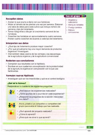 Recopilen datos
•
Anoten lo que ocurre a diario con sus hortalizas.
•
Midan el tamaño de las plantas una vez por semana. Elaboren
una tabla de datos para cada cultivo que incluya número de
semana y tipo de tratamiento.
•
Tomen fotografías o dibujen el crecimiento semanal de las
hortalizas.
•
Cosechen las hortalizas en aproximadamente cuatro semanas.
Anoten cuánto cosechan de acuerdo a cada tipo de tratamiento.
Interpreten sus datos
•
¿Qué tipo de tratamiento produce mayor cosecha?
•
¿Por qué actualmente hay una mayor demanda de productos
orgánicos? Investiguen.
•
Intercambien ideas acerca de las ventajas y las desventajas
de la agricultura orgánica y de la agricultura convencional.
Redacten sus conclusiones
• Comparen sus resultados con la hipótesis.
•
Escriban en sus cuadernos una explicación de la productividad
de la agricultura orgánica en comparación con la que usa
fertilizantes.
Formulen nuevas hipc)tesis
• Investiguen qué son los insecticidas y qué es el control biológico.
¿Qué tal lo hicimos?
Responde en tu cuaderno las siguientes preguntas:
•
¿Participé en las experiencias realizadas?
•
¿Tomé apuntes de lo ocurrido en cada experiencia?
•
¿Respondí las preguntas de la sección Interpreten
sus datos?
Ahora, pídele a un compañero o compañera del
grupo que evalúe el trabajo que has realizado.
•
¿Qué aprendí del proyecto realizado?
•
¿Cómo lo aprendí?
•
¿Para qué me sirve lo que aprendí?
www.profesorluissanchez.com/ Cel 949176380
• Organizo y
calendarizo
• Manipulo variables
• Predigo cambios
• Elaboro
conclusiones
Urudad 5
105
 