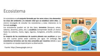 Ecosistema
Un ecosistema es el conjunto formado por los seres vivos y los elementos
no vivos del ambiente y la relación vital que se establece entre ellos. La
ciencia encargada de estudiar los ecosistemas y estas relaciones es la
llamada ecología.
Los ecosistemas pueden ser de dos tipos: terrestres (bosques, selvas,
sabanas, desiertos, polos, etc.) y acuáticos (comprenden desde un charco
hasta los océanos, mares, lagos, lagunas, manglares, arrecifes coralinos,
etc.).
La mayoría de los ecosistemas de nuestro planeta son acuáticos ya que
sus tres cuartas partes están cubiertas por agua. Sin embargo, los
ecosistemas terrestres son los más conocidos por nosotros debido a que
no requiere un equipo especial para su observación.
Fuente: https://www.google.com.co
 