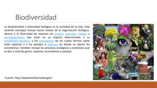 Biodiversidad
La biodiversidad o diversidad biológica es la variedad de la vida. Este
reciente concepto incluye varios niveles de la organización biológica.
Abarca a la diversidad de especies de plantas, animales, hongos y
microorganismos que viven en un espacio determinado, a su
variabilidad genética, a los ecosistemas de los cuales forman parte
estas especies y a los paisajes o regiones en donde se ubican los
ecosistemas. También incluye los procesos ecológicos y evolutivos que
se dan a nivel de genes, especies, ecosistemas y paisajes.
Fuente: http://www.biodiversidad.gob l
 