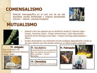 COMENSALISMO
          Relación interespecífica en el cual uno de los dos
           asociados resulta beneficiado y ninguno perjudicado
           (rémora – tiburón, conchas-húesped)

    MUTUALISMO
                       Relación entre dos especies que se benefician ambas Ej: líquenes (alga –
                        hongo), micorrizas (raices - hongo, bacteriorrizas ( raices leguminosas –
                        bacterias de N) Hormigas corta hojas – hongo) (hormigas apacentadoras –
                        áfidos)
                       Pueden desempeñar una importante función ecológica especialmente cuando se
                        da entre especies que solo pueden sobrevivir en determinados ambientes

        M. obligado:            M. facultativo:                        M. Polinizador
Que no pueden vivir             Ambas benefician con la asociación
independientemente (líquenes:   pero son capaces de sobrevivir sin
hongo – alga)                   ellas: Cangrejo – cniarios…
                                camuflaje.


                                M. Clientelista
                                Pececillos limpiadores y otros peces
    Líquenes
 