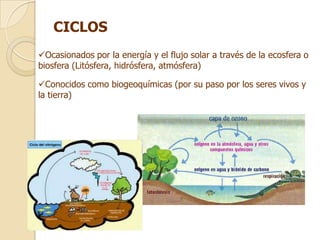 CICLOS
Ocasionados por la energía y el flujo solar a través de la ecosfera o
biosfera (Litósfera, hidrósfera, atmósfera)

Conocidos como biogeoquímicas (por su paso por los seres vivos y
la tierra)
 
