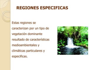 REGIONES ESPECIFICAS


Estas regiones se
caracterizan por un tipo de
vegetación dominante
resultado de características
medioambientales y
climáticas particulares y
especificas.
 