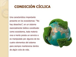 CONDICIÓN CÍCLICA

Una característica importante
presente en los ecosistemas: “No
hay desechos”; en un sistema
esencialmente biótico constituido
como ecosistema, toda materia
viva o inerte presta un servicio o
es manipulada por algunos de los
cuatro elementos del sistema
para siempre mantenerse dentro
de algún ciclo de vida.
 