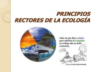 PRINCIPIOS
RECTORES DE LA ECOLOGÍA
 