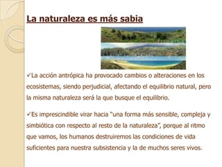 La naturaleza es más sabia




La acción antrópica ha provocado cambios o alteraciones en los
ecosistemas, siendo perjudicial, afectando el equilibrio natural, pero
la misma naturaleza será la que busque el equilibrio.

Es imprescindible virar hacia “una forma más sensible, compleja y
simbiótica con respecto al resto de la naturaleza”, porque al ritmo
que vamos, los humanos destruiremos las condiciones de vida
suficientes para nuestra subsistencia y la de muchos seres vivos.
 