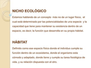 NICHO ECOLÓGICO
Estamos hablando de un concepto más no de un lugar físico, el
cual está determinado por las potencialidades de una especie y la
capacidad que tiene para mantener su existencia dentro de un
espacio, es decir, la función que desarrolla en su propio hábitat.



HÁBITAT
Definido como ese espacio físico donde el individuo cumple su
función dentro de un ecosistema, donde el organismo esta
cómodo y adaptado, donde tiene y cumple su tarea fisiológica de
vida, y su relación dispuesta con el otro.
 