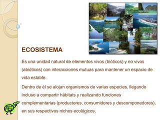 ECOSISTEMA
Es una unidad natural de elementos vivos (bióticos) y no vivos
(abióticos) con interacciones mutuas para mantener un espacio de
vida estable.

Dentro de él se alojan organismos de varias especies, llegando
incluso a compartir hábitats y realizando funciones
complementarias (productores, consumidores y descomponedores),
en sus respectivos nichos ecológicos.
 