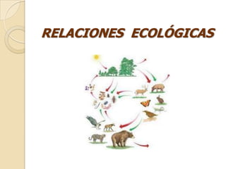 RELACIONES ECOLÓGICAS
 
