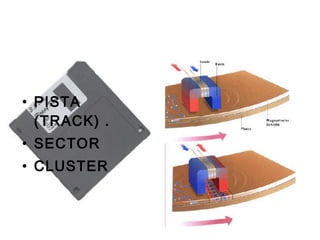 PISTA (TRACK) . SECTOR CLUSTER 