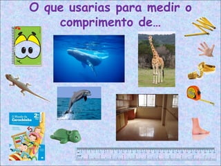 O que usarias para medir o
comprimento de…
 