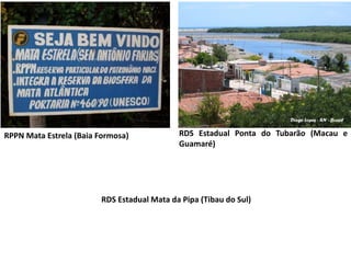 RPPN Mata Estrela (Baia Formosa) RDS Estadual Ponta do Tubarão (Macau e
Guamaré)
RDS Estadual Mata da Pipa (Tibau do Sul)
 