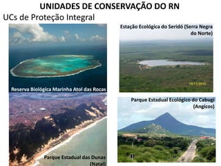 UNIDADES DE CONSERVAÇÃO DO RN
UCs de Proteção Integral
Reserva Biológica Marinha Atol das Rocas
Estação Ecológica do Seridó (Serra Negra
do Norte)
Parque Estadual das Dunas
(Natal)
Parque Estadual Ecológico do Cabugi
(Angicos)
 