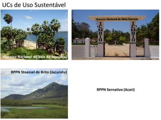 UCs de Uso Sustentável
Floresta Nacional do Vale do Açu (Açu)
RPPN Stoessel de Brito (Jucurutu)
RPPN Sernativo (Acari)
 