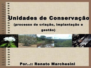 Por..:: Renato MarchesiniPor..:: Renato Marchesini
Unidades de ConservaçãoUnidades de Conservação
(processo de criação, implantação e gestão)(processo de criação, implantação e gestão)
 