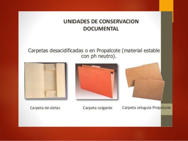 Unidades de conservacion del archivo