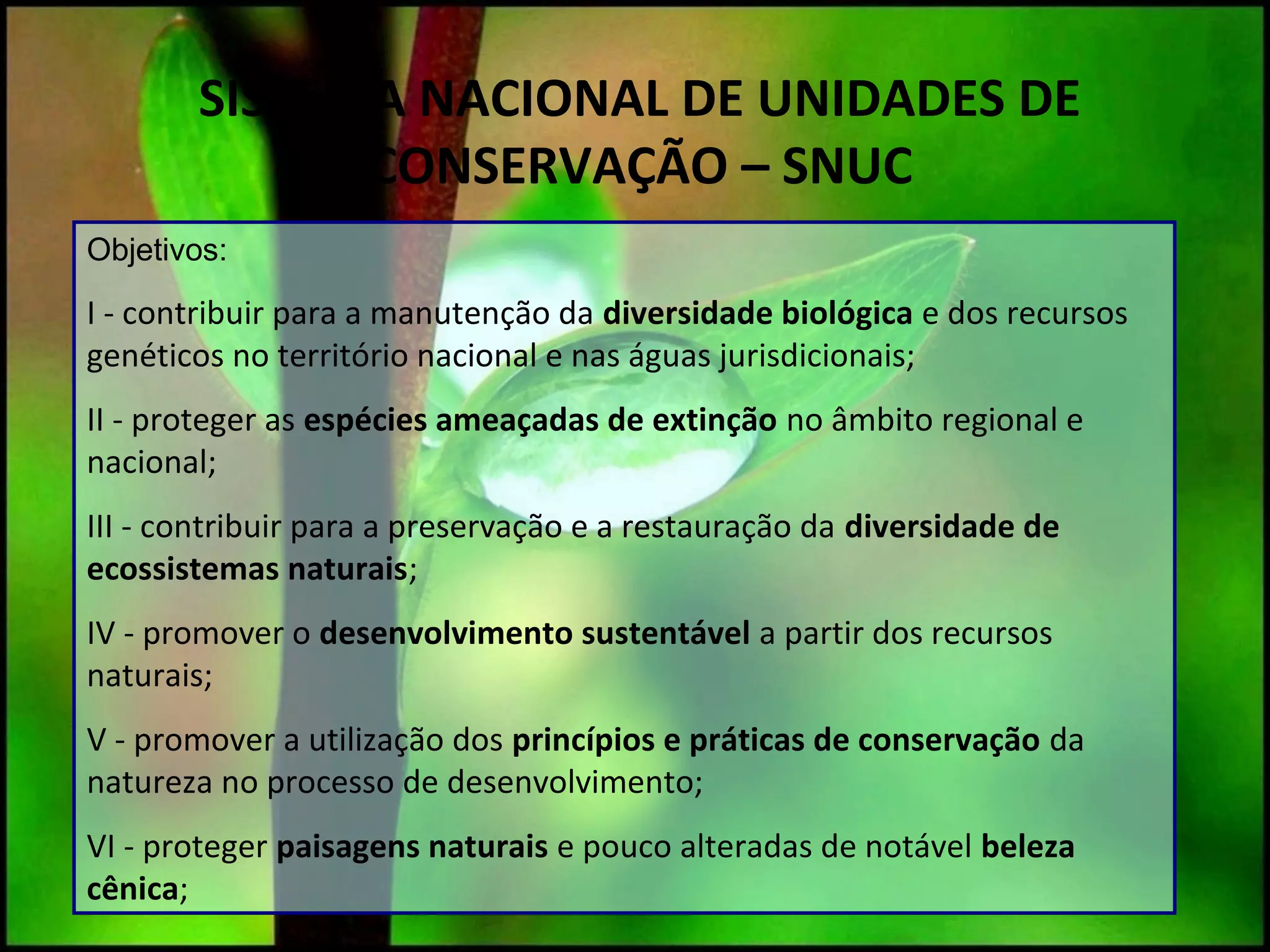 Unidades de conservação | PPT