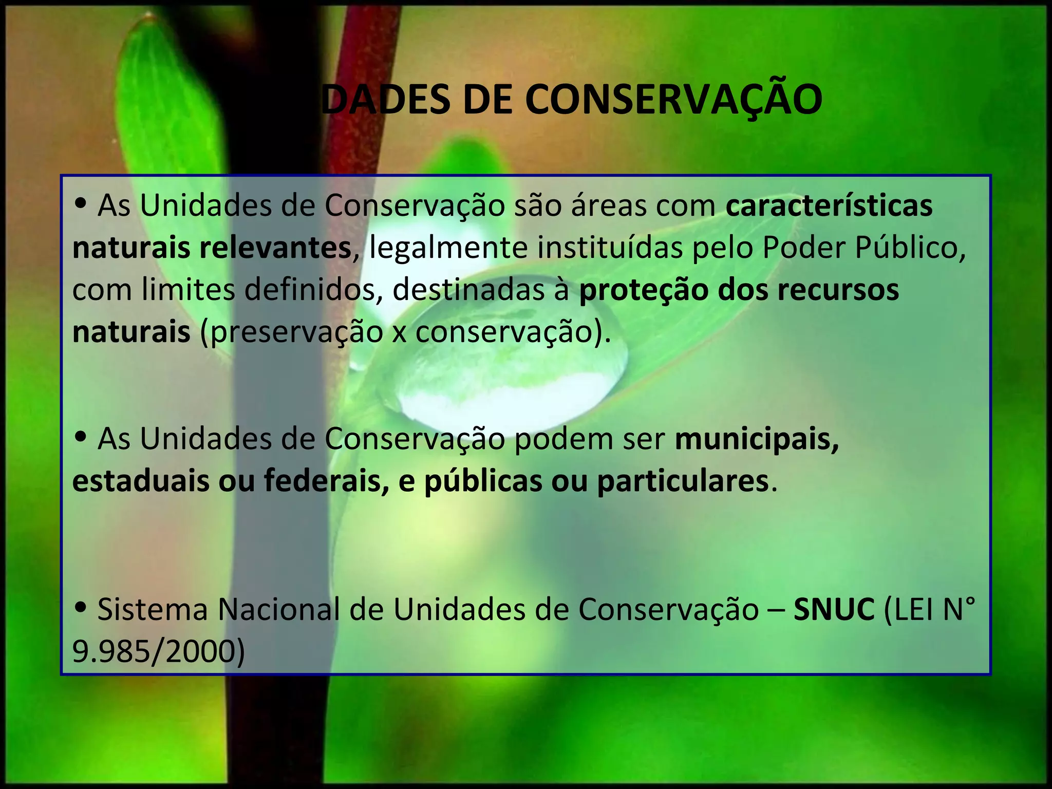 Unidades de conservação | PPT