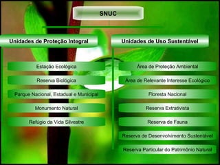 SNUCSNUC
Reserva Particular do Patrimônio Natural
Reserva de Desenvolvimento Sustentável
Unidades de Proteção IntegralUnidades de Proteção Integral Unidades de Uso SustentávelUnidades de Uso Sustentável
Estação Ecológica
Reserva Biológica
Parque Nacional, Estadual e Municipal
Monumento Natural
Refúgio da Vida Silvestre
Área de Proteção Ambiental
Área de Relevante Interesse Ecológico
Floresta Nacional
Reserva Extrativista
Reserva de Fauna
 