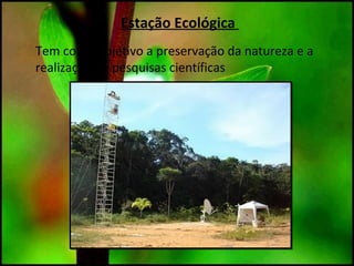 Estação Ecológica
Tem como objetivo a preservação da natureza e a
realização de pesquisas científicas
 