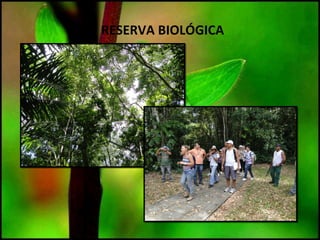 RESERVA BIOLÓGICA
 