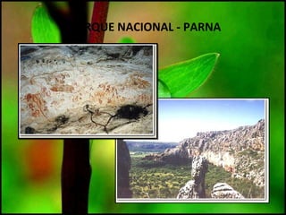 PARQUE NACIONAL - PARNA
 