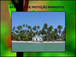 APA – ÁREA DE PROTEÇÃO AMBIENTAL
 