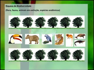 Riqueza de Biodiversidade
(flora, fauna, animais em extinção, espécies endêmicas)
Riqueza de Biodiversidade
(flora, fauna, animais em extinção, espécies endêmicas)
 