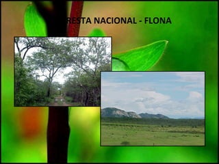 FLORESTA NACIONAL - FLONA
 