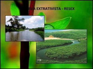 RESERVA EXTRATIVISTA - RESEX
 