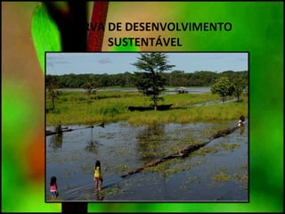 RESERVA DE DESENVOLVIMENTO
SUSTENTÁVEL
 