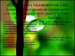 QUANTO CUSTA NÃO RESPEITAR A LEI
CRIMES CONTRA UNIDADES DE CONSERVAÇÃO
Lei de Crimes Ambientais no
9.605/98 e Decreto no
6.514/2008
Infrações Penalidades
Penetrar em UC conduzindo
substâncias ou instrumentos próprios
para caça, pesca ou para exploração
de produtos ou subprodutos florestais
e minerais, sem licença da autoridade
competente, quando esta for exigível:
Multa de R$ 1.000,00 (mil reais) a
R$ 10.000,00 (dez mil reais).
Penetrar em UC cuja visitação
pública ou permanência sejam
vedadas pelas normas aplicáveis ou
ocorram em desacordo com a licença
da autoridade competente.
Multa de R$ 1.000,00 (mil reais) a
R$ 10.000,00 (dez mil reais).
 