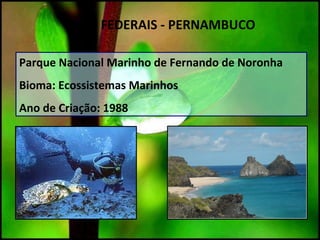 Parque Nacional Marinho de Fernando de Noronha
Bioma: Ecossistemas Marinhos
Ano de Criação: 1988
UC`S FEDERAIS - PERNAMBUCO
 