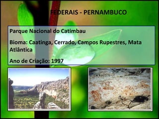 Parque Nacional do Catimbau
Bioma: Caatinga, Cerrado, Campos Rupestres, Mata
Atlântica
Ano de Criação: 1997
UC`S FEDERAIS - PERNAMBUCO
 