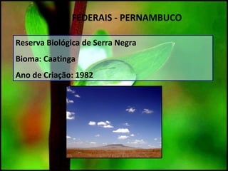 UC`S FEDERAIS - PERNAMBUCO
Reserva Biológica de Serra Negra
Bioma: Caatinga
Ano de Criação: 1982
 