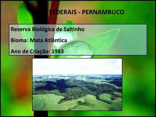 Reserva Biológica de Saltinho
Bioma: Mata Atlântica
Ano de Criação: 1983
UC`S FEDERAIS - PERNAMBUCO
 
