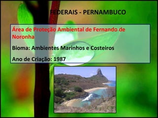 Área de Proteção Ambiental de Fernando de
Noronha
Bioma: Ambientes Marinhos e Costeiros
Ano de Criação: 1987
UC`S FEDERAIS - PERNAMBUCO
 