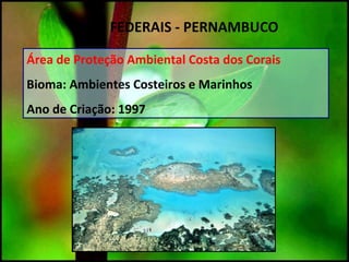 Área de Proteção Ambiental Costa dos Corais
Bioma: Ambientes Costeiros e Marinhos
Ano de Criação: 1997
UC`S FEDERAIS - PERNAMBUCO
 