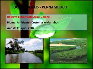 Reserva Extrativista Acaú-Goiana
Bioma: Ambientes Costeiros e Marinhos
Ano de Criação: 2007
UC`S FEDERAIS - PERNAMBUCO
 
