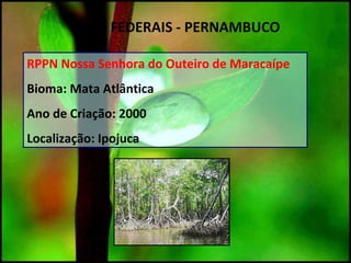 RPPN Nossa Senhora do Outeiro de Maracaípe
Bioma: Mata Atlântica
Ano de Criação: 2000
Localização: Ipojuca
UC`S FEDERAIS - PERNAMBUCO
 